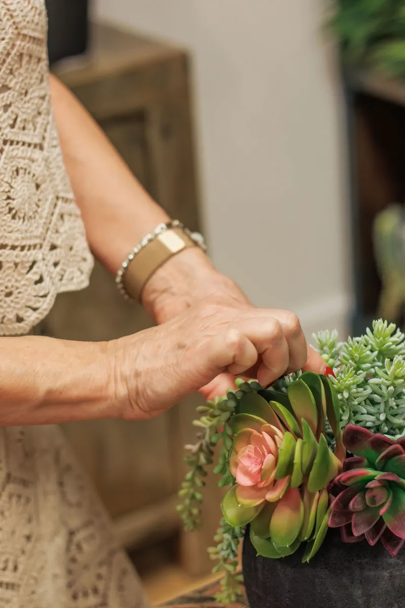 A hand with gold rings arranges a pink and green succulent