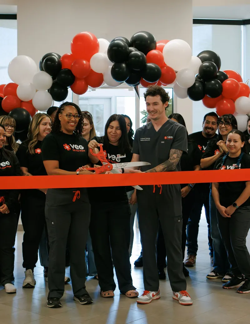 A veterinary team in black scrubs lines up behind a red ribbon under red and black balloons